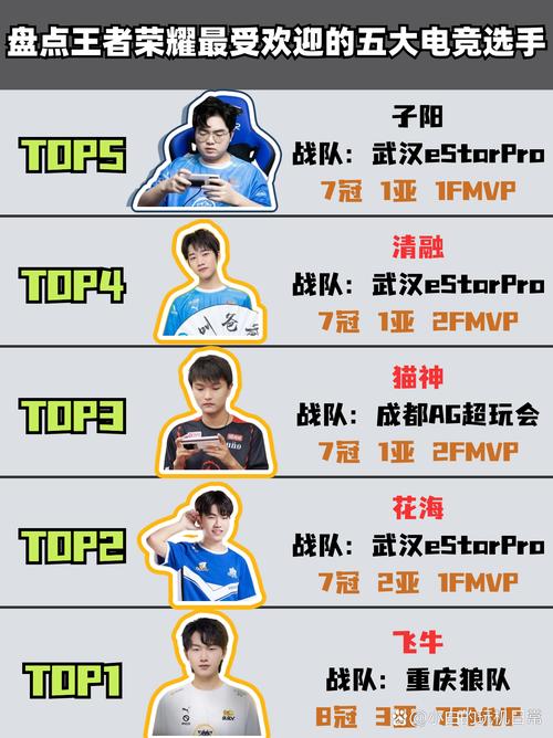 王者荣耀电竞选手是什么