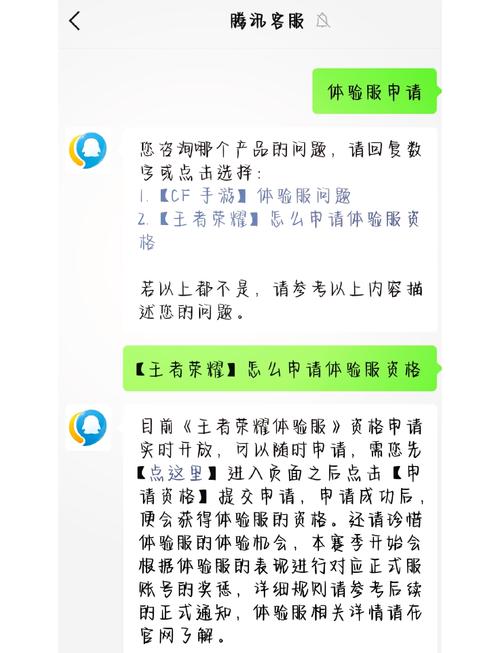 王者荣耀gm巡查是什么意思