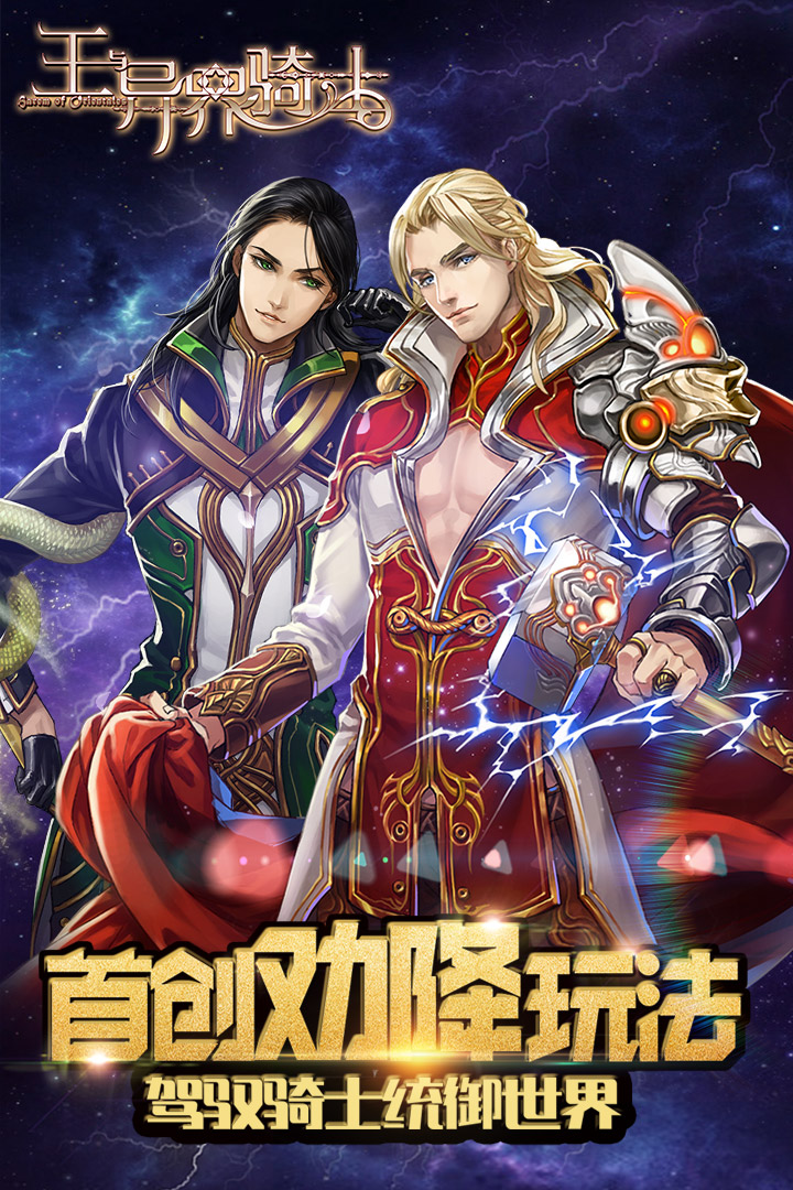 王与异界骑士