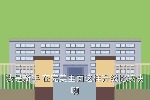 我是新手 在完美里面这样升级比较快啊