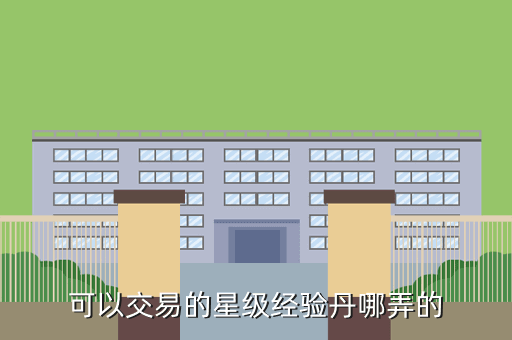 可以交易的星级经验丹哪弄的