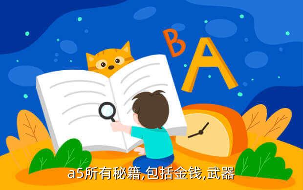 a5所有秘籍,包括金钱,武器