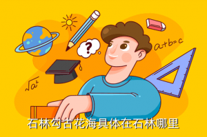 诛仙手游里的花海在哪里，石林勾古花海具体在石林哪里