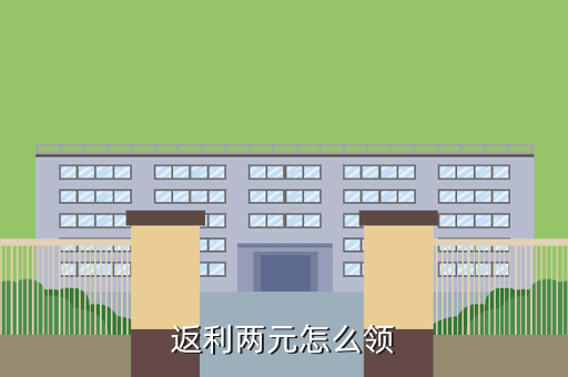 返利两元怎么领
