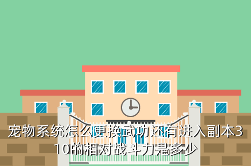 宠物系统怎么更换武功还有进入副本310的相对战斗力是多少