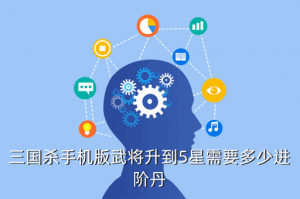 手游三国杀里怎么升5星，三国杀手机版武将升到5星需要多少进阶丹