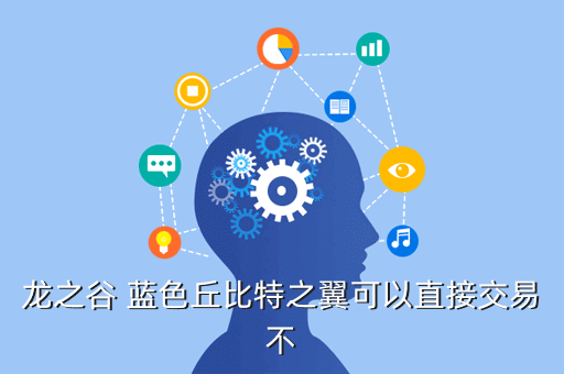 龙之谷 蓝色丘比特之翼可以直接交易不