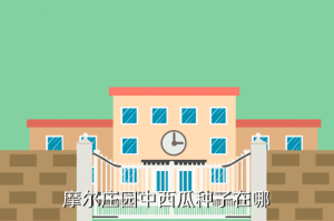 摩尔庄园手游西瓜种子怎么获得，摩尔庄园中西瓜种子在哪