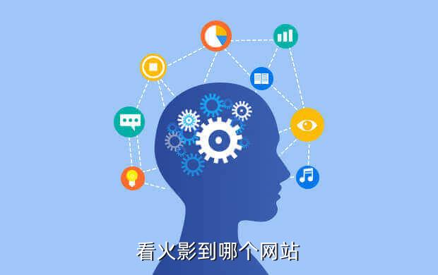 看火影到哪个网站