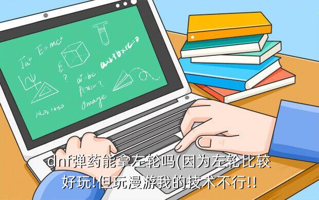 dnf弹药能拿左轮吗(因为左轮比较好玩!但玩漫游我的技术不行!!