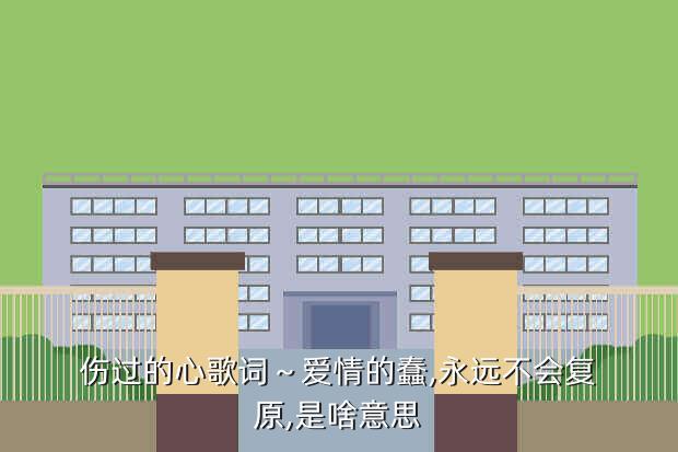 伤过的心歌词～爱情的蠢,永远不会复原,是啥意思