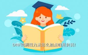 dnf力法加点,DNF力法如何加分