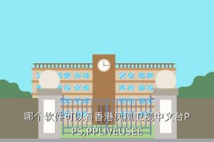 pps网络电视下载2013免费下载,什么选手可以看台湾省综艺节目？