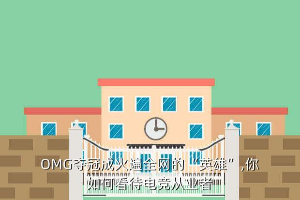 OMG夺冠成火遍全网的“英雄”,你如何看待电竞从业者