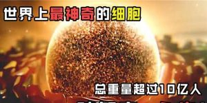 探秘游戏永生不灭的攻略