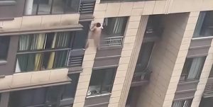 探寻罪案现场22的关键线索