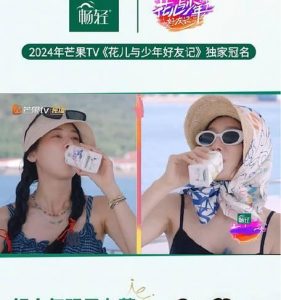以花儿与少年塔防攻略