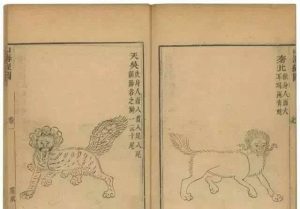 白泽神兽技能搭配攻略