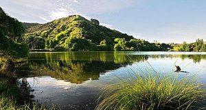 黎明觉醒霍克斯农贸市场宝箱位置攻略