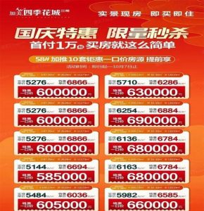 元气偶像季花城空图鉴详解——打造最强元气偶像！