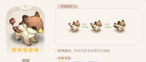 奥比岛技能升级攻略