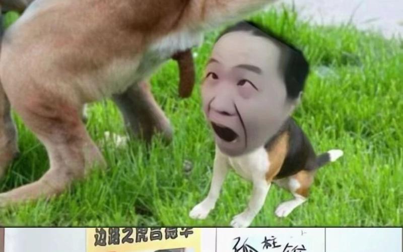 王者荣耀供应商否认抄袭,事件后续会如何进展?