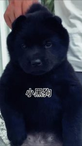 王者荣耀黑店攻略/王者荣耀黑店攻略图