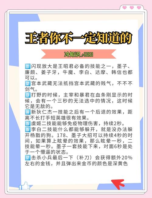 《王者荣耀》里有哪些冷知识?