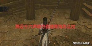 燕云十六声镇守菩提苦海怎么过