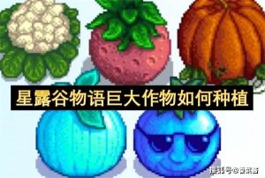 星露谷物语巨大作物如何种植