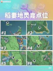 原神稻妻地灵龛点位图片一览