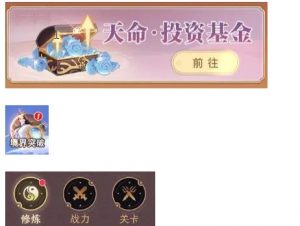 大武道七天飞升攻略