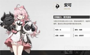 鸣潮安可用什么装备好 鸣潮安可声骸推荐