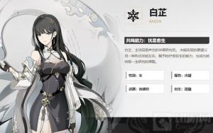 鸣潮白芷怎么配队 鸣潮白芷配队推荐攻略