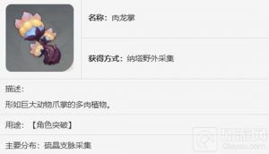 原神基尼奇养成材料肉龙掌路线一览