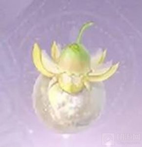 无限暖暖日光果在什么地方获得 日光果制作心愿蔷薇方法